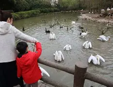 爱游戏在线-字母哥最新消息加盟勇士